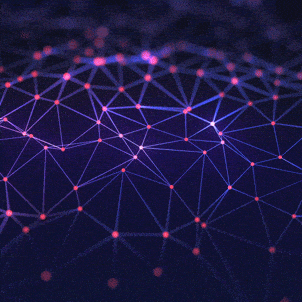 Dark Patterns, Founders & Funding