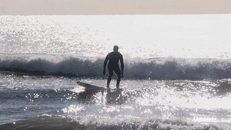 DISCOVER 🏄 P'COLA   
