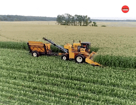 LIBERTY REPORT: Why Government Should Get Out of America's Farms