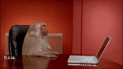 Office Monkey GIF