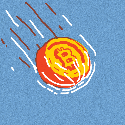Idea Of The Day - Someone needs to build crypto app insurance to protect us from the next rugpull