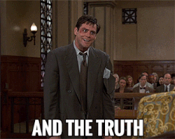liar GIF