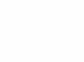 Rye Whiskey Cheers GIF by Sagamore Spirit