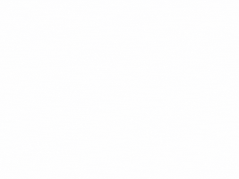 Rye Whiskey Cheers GIF by Sagamore Spirit