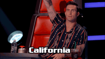 adam levine television GIF by The Voice