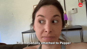 Dogs International Dog Day GIF by BuzzFeed