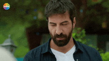 Angry Ismail Demirci GIF by Show TV