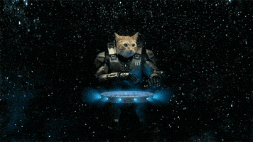 Taika Waititi GIF by Xbox