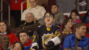 hockey dancing GIF by Carolina Hurricanes