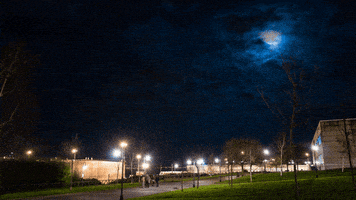 loop night GIF by A. L. Crego