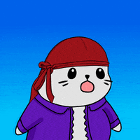 No Way Wow GIF by Sappy Seals Community