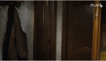 Eigen Kweek Vlaams GIF by GoPlay