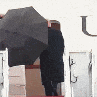 Raining Donald Trump GIF