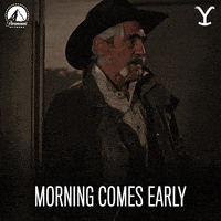 Good Morning Cowboy GIF by Yellowstone
