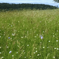 Summer Time GIF by Maria Johnsen