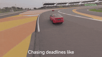 I Catch You GIF by Skoda India