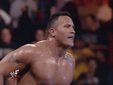 Giphy - Can You Smell The Rock GIF by WWE