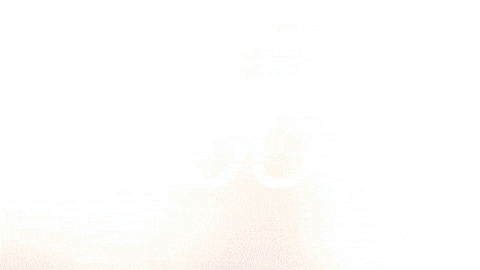 Giphy - Celebration Goal GIF by FC Red Bull Salzburg