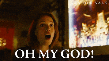 No Way Omg GIF by Van der Valk