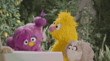 Sesame Street Muppets GIF by MacArthur Foundation