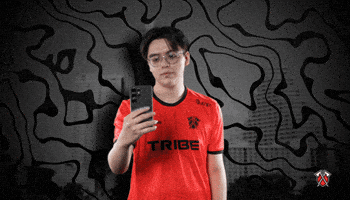 Brawl Stars Esports GIF by Tribe Gaming