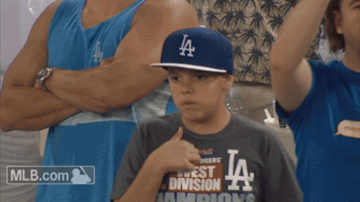 fan love GIF by MLB