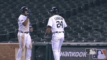 Game Win GIF by Detroit Tigers