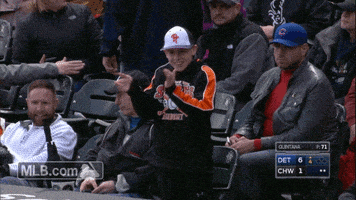 Major League Baseball Reaction GIF by Detroit Tigers