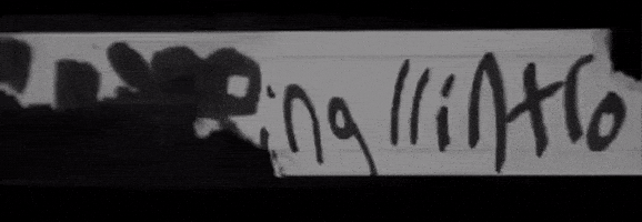 sub pop intro GIF by Clipping.