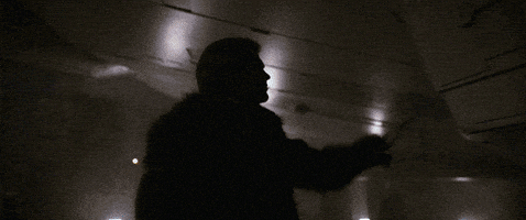 han solo love GIF by Star Wars