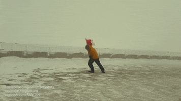 🎁 Bonus Fofocoins : La réponse surprise