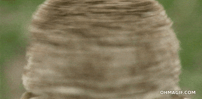 🎁 Bonus Fofocoins : La réponse surprise