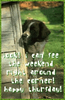happy the weekend GIF