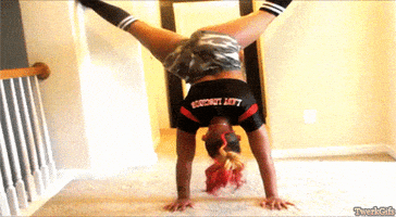 big bang theory dancing GIF