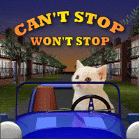 Cant Stop Make Way GIF