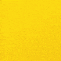 Holi Festival Holiday GIF by INTO ACTION