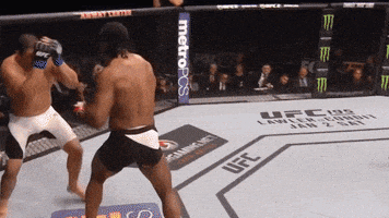 the predator ufc GIF