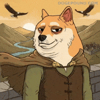 Flying Shiba Inu GIF by Doge Pound