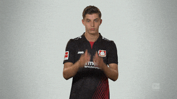 fail oh no GIF by Bundesliga