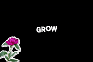 200.gif