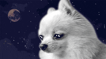 Sad Animation GIF by Holler Studios Sad Animation GIF by Holler Studios