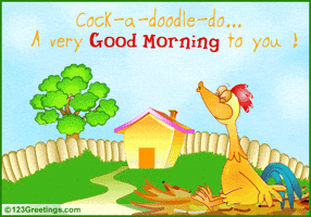 good morning GIF good morning GIF