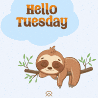 Tuesday Hello GIF by MSD Online Shop Tuesday Hello GIF by MSD Online Shop