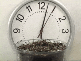 grass grow GIF