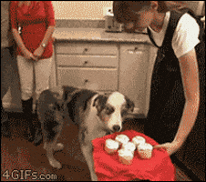 Post Traumatic Stress Disorder Reaction GIF Post Traumatic Stress Disorder Reaction GIF