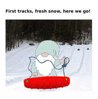 Snow Sledding GIF