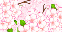 Cherry Blossom Pixel GIF