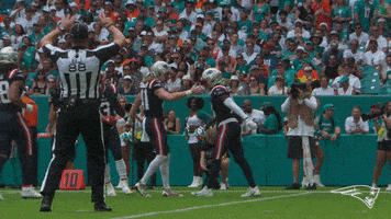 Football Celebration GIF by New England Patriots