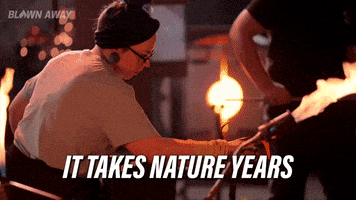 Cat Netflix GIF by Blown Away