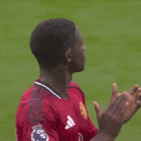Well Done Applause GIF by Manchester United
